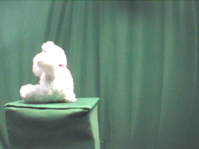 90 Degrees _ Picture 9 _ Small White Teddy Bear.png